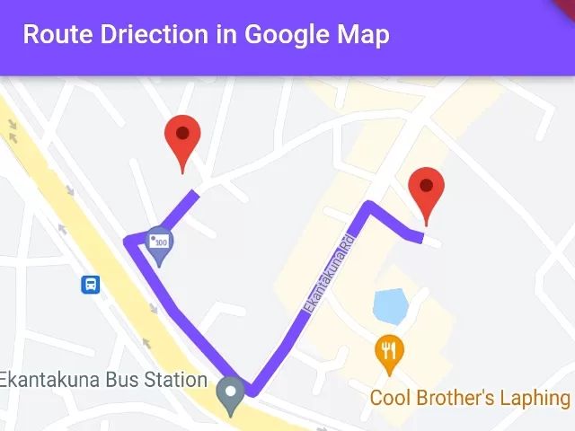 How to Draw Route Direction Polylines on Google Map in Flutter