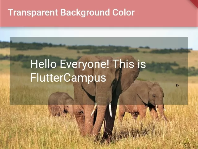 How to set Transparent Background Color in Flutter
