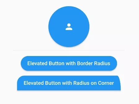 How To Add Circular Elevated Button In Flutter
